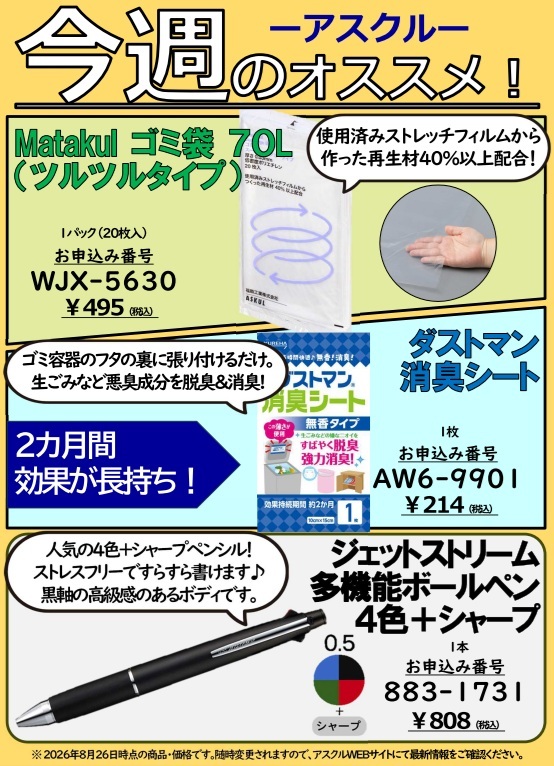 ニーズ調べカラーDM③（HP更新）